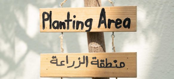 Outdoor Classroom - Children - Nursery - Jumeirah