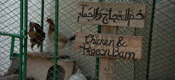 Outdoor Classroom - Children - Nursery - Jumeirah