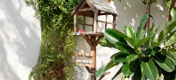 Outdoor Classroom - Children - Nursery - Jumeirah