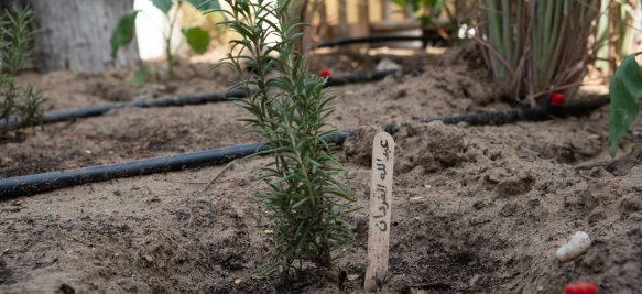 Outdoor Classroom - Children - Nursery - Jumeirah