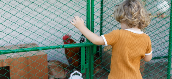 Nursery in dubai | outdoor-garden